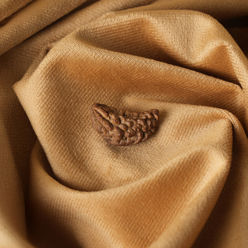 1 Mukhi Natural Rudraksha_ Lab Certified