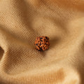 2 Mukhi Natural Rudraksha_ Lab Certified