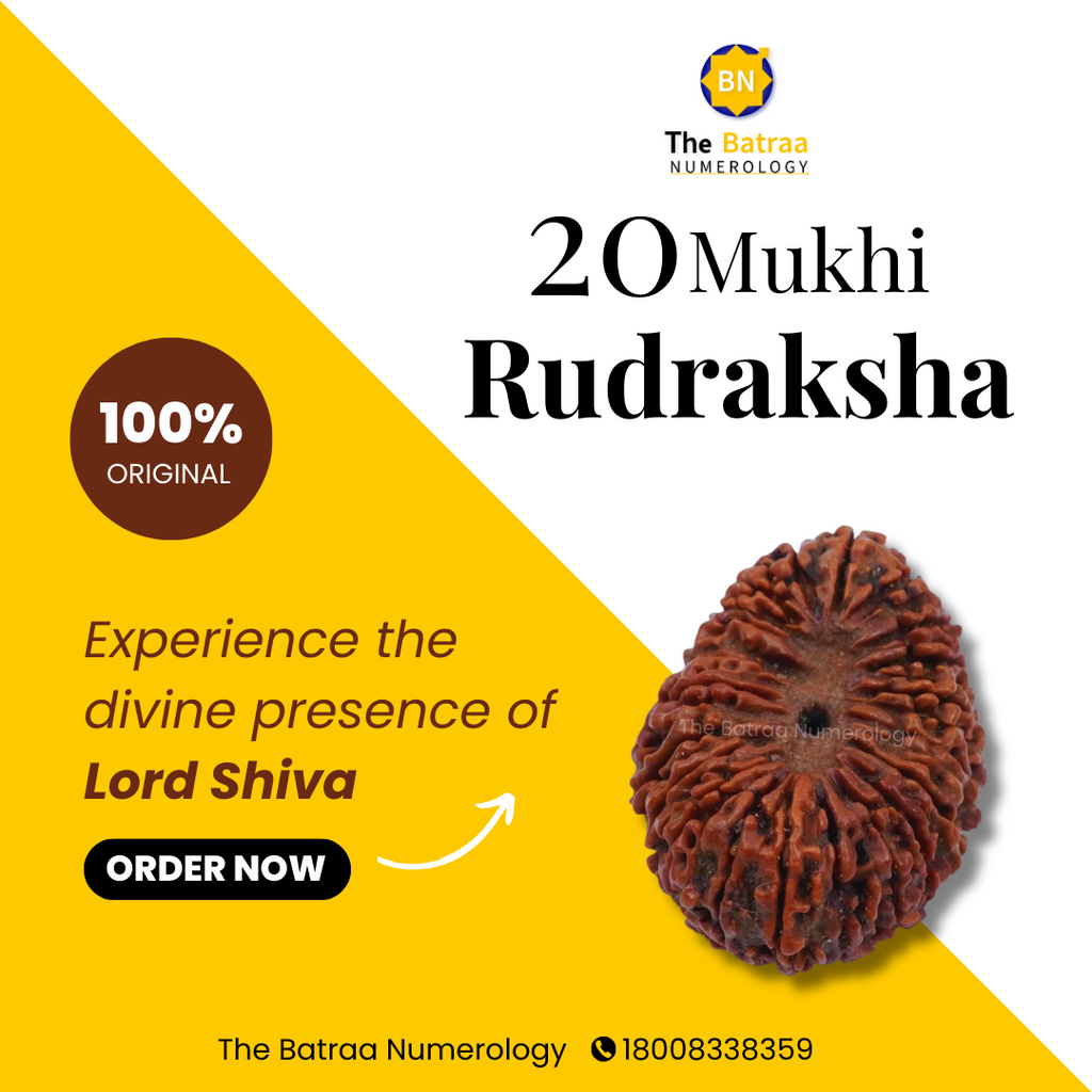 20 Mukhi Natural Indonesian Rudraksha_ Lab Certified