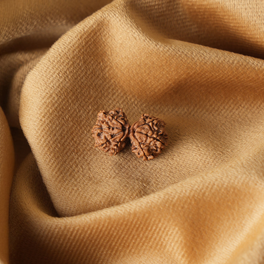 Gauri Shankar Natural Rudraksha_ Lab Certified