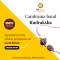 Chandrama Band Rudraksha