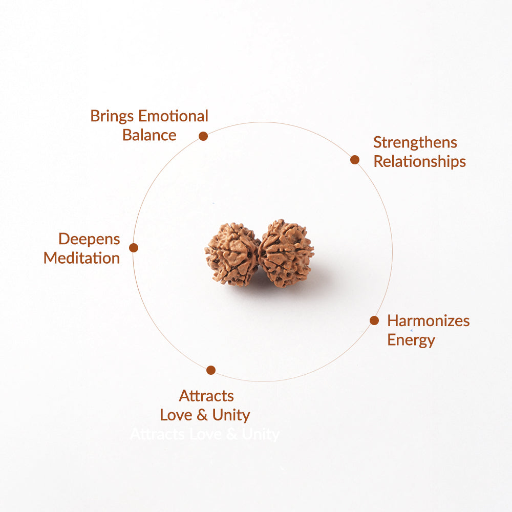 Gauri Shankar Natural Rudraksha_ Lab Certified