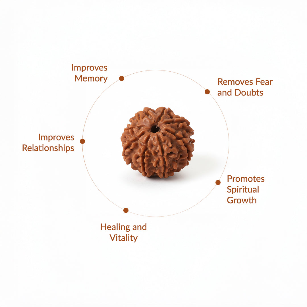8 Mukhi Natural Rudraksha_ Lab Certified