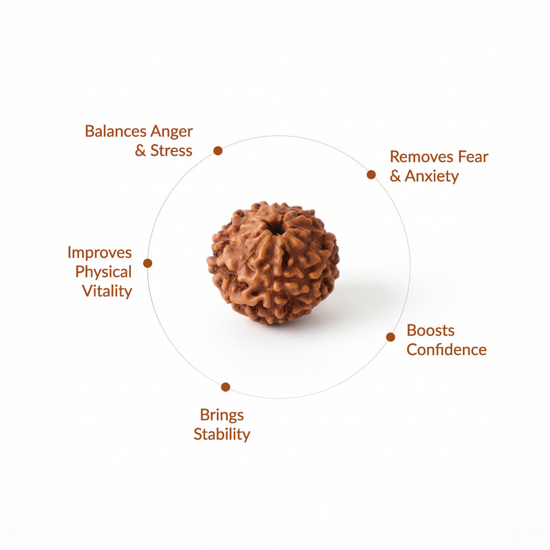 9 Mukhi Natural Rudraksha_ Lab Certified