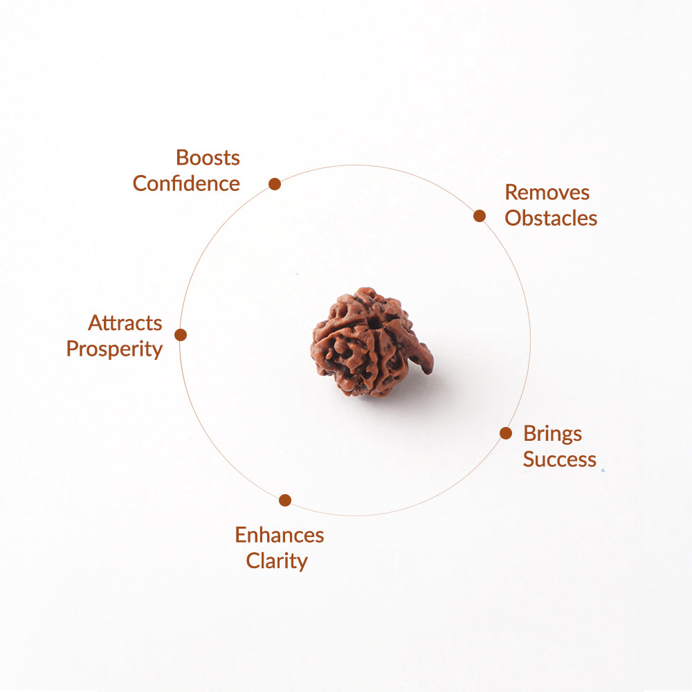Ganesh Rudraksha_ Lab Certified